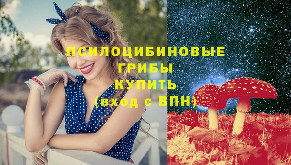крисы Наволоки