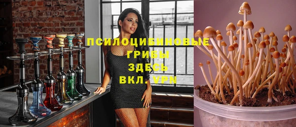 крисы Наволоки