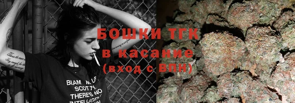 молекула духа Навашино