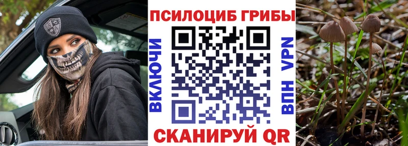 где продают наркотики Барнаул Галлюциногенные грибы Magic Shrooms